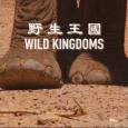 野生王國 Wild Kingdoms