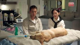 第九集: 搜救犬平安為救靳時川受傷