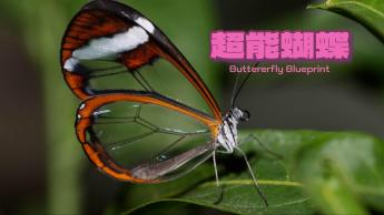 超能蝴蝶 Butterfly Blueprint